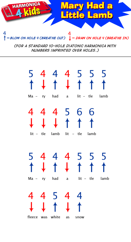 Easy Harmonica Tabs For Beginners