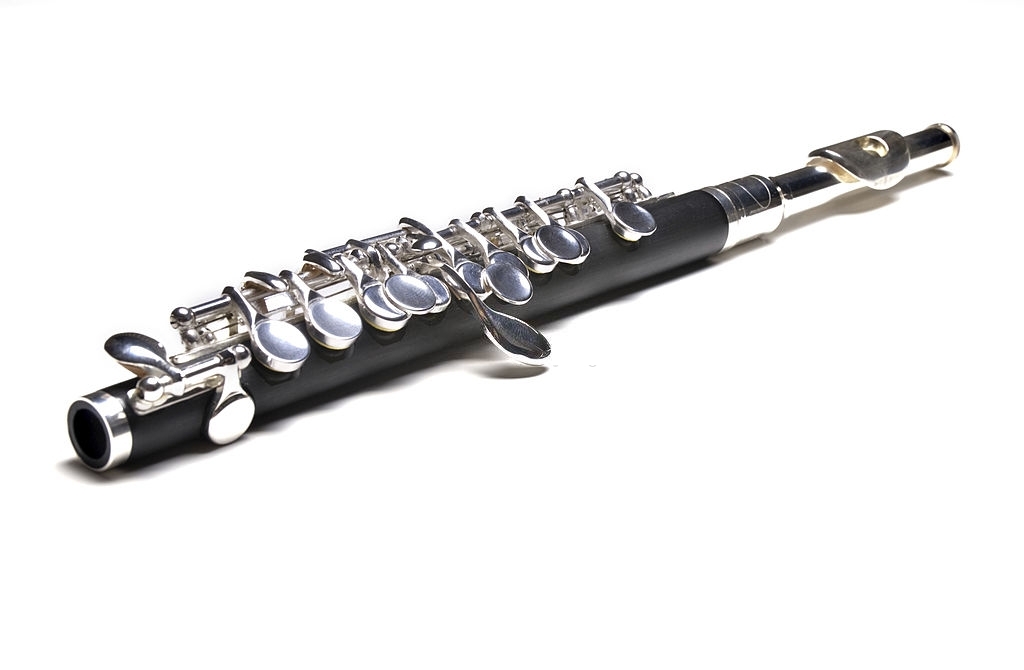 1 piccolo flute