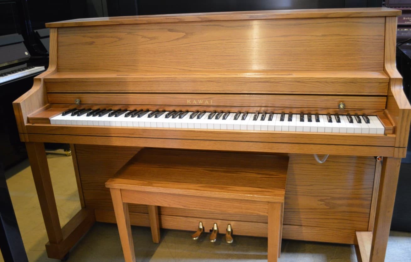 13 Types Of Pianos and Their Uses (With Pictures) - Recording History