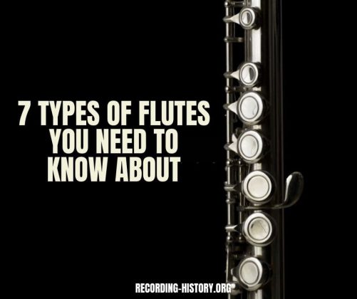 7 Types Of Flutes And Their Uses With Pictures Recording History 2928