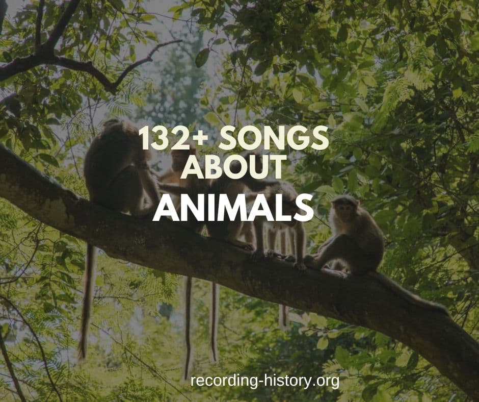 132+ Best Songs About Animals - Song Lyrics & Facts